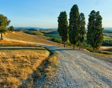 Bellissima campagna della Val d’Orcia | Beautiful countryside of Val d'Orcia